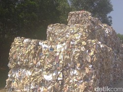 Melihat Pabrik Kertas yang Cemari Lingkungan Namun Tetap Produksi