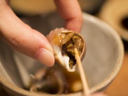 Cacing Pita Bersarang di Otak Pria Ini Selama 15 Tahun Karena Makan Siput