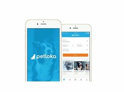 Aplikasi Ini Bisa Bantu Cari Hotel untuk Hewan Peliharaan