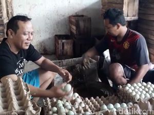 18 Juta Telur Asin di Brebes Siap Jadi Oleh-oleh Pemudik