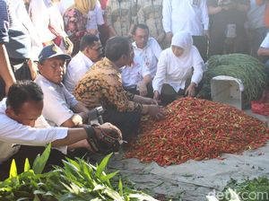 Mentan Klaim Stok Kebutuhan Pokok Mencukupi Hingga Usai Lebaran