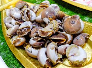 Wanita Ini Tewas Usai Makan Escargot yang Terkontaminasi Bakteri Wanita Ini Tewas Usai Makan Escargot yang Terkontaminasi Bakteri