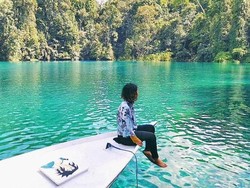 Ada Buaya 4,3 Meter, Operator Tur Pamit dari Labuan Cermin