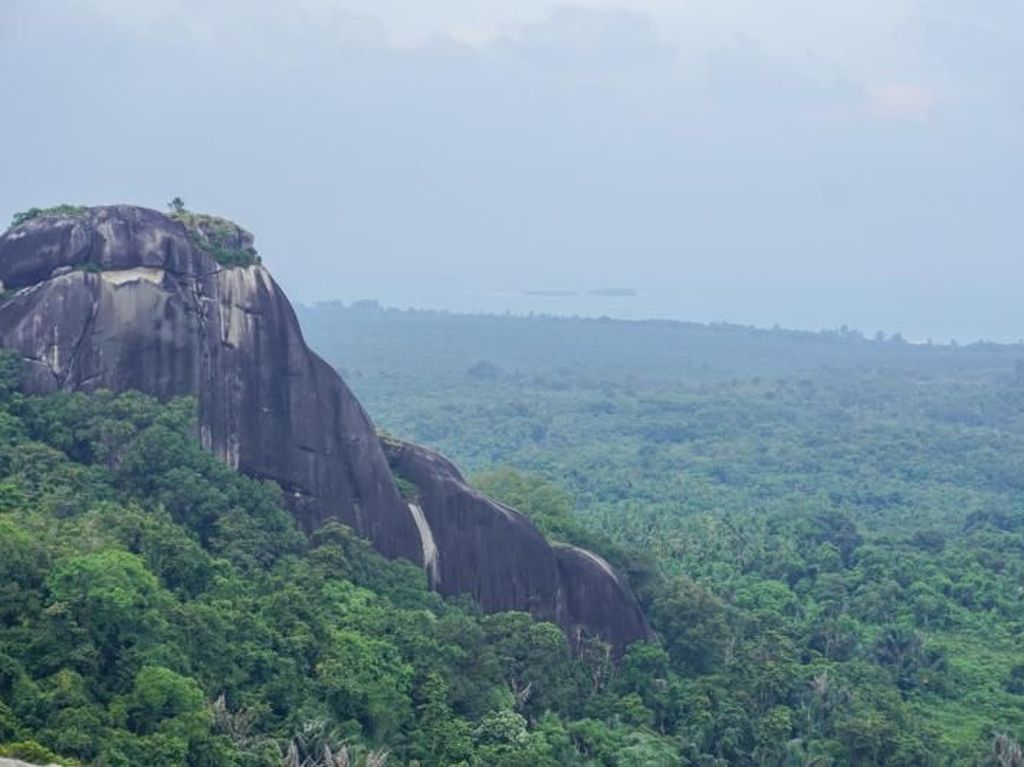 Mendaki Batu Baginda, Granit Terbesar di Belitung Mendaki Batu Baginda, Granit Terbesar di Belitung