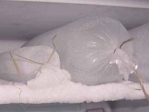 Ya Ampun! Online Shop Ini Jual Es Batu Harga Rp 500