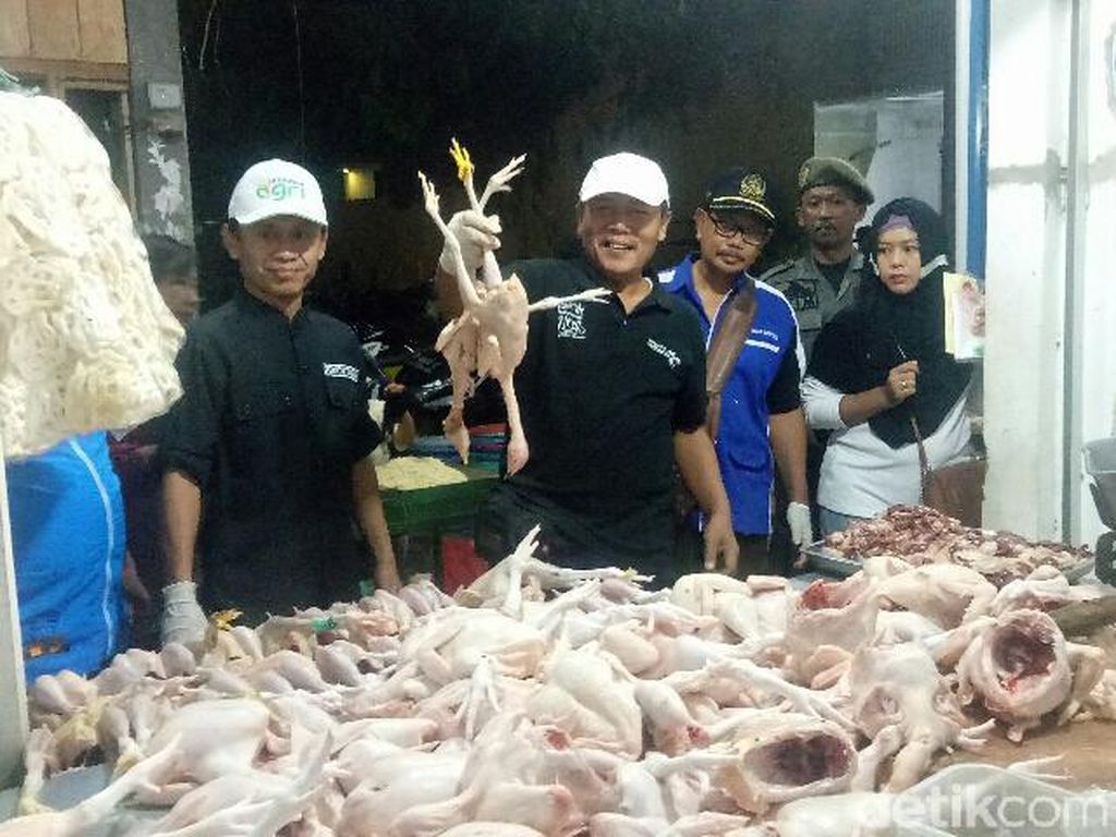 Dinas Pertanian Cek Ketersediaan Daging dan Ayam di Pasar Banyuwangi Dinas Pertanian Cek Ketersediaan Daging dan Ayam di Pasar Banyuwangi