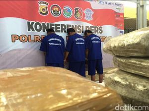 Polisi Gagalkan Pengiriman 1 Ton Ganja ke Jakarta, 3 Orang Ditangkap