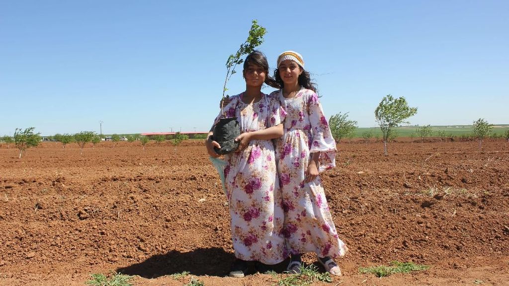 Jinwar, Desa Khusus Wanita yang Mandiri Tanpa Lelaki Jinwar, Desa Khusus Wanita yang Mandiri Tanpa Lelaki