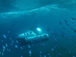 Australia Bakal Punya Taksi Bawah Air