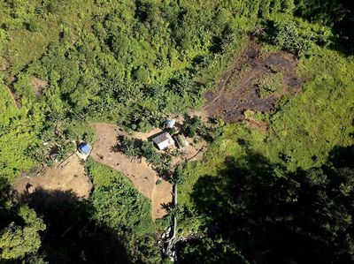 Mengenal Kehidupan Suku Pedalaman Polahi di Gorontalo