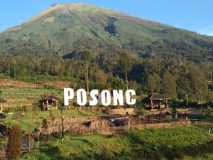 Yang Memikat di Kaki Gunung Sindoro