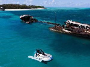 Hiu Tewaskan Petugas Taman Margasatwa