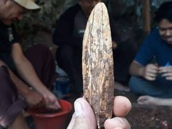 Mata Tombak Manusia Purba Ditemukan Tim Arkeolog di Gua Pawon