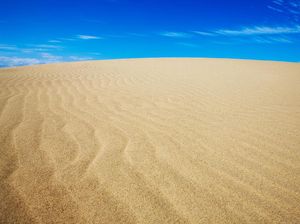 Foto: Gurun Pasir Jepang Vs Turis Nakal