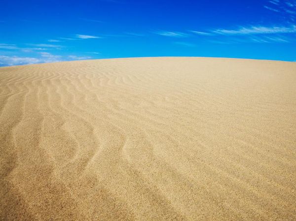 Foto: Gurun Pasir Jepang Vs Turis Nakal