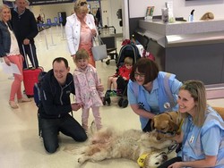 Anjing yang Menggemaskan, Bagi yang Takut Naik pesawat