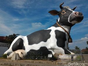 Pemkab Boyolali Batalkan Rencana Upacara HUT di Hari H Lebaran