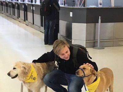 Aksi Anjing Gemas, Redakan Takut Penumpang yang Mau Naik Pesawat