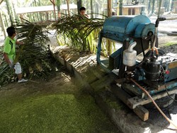 Desa di Jambi Ini Produksi 4.000 Ton Pupuk Organik Per Bulan