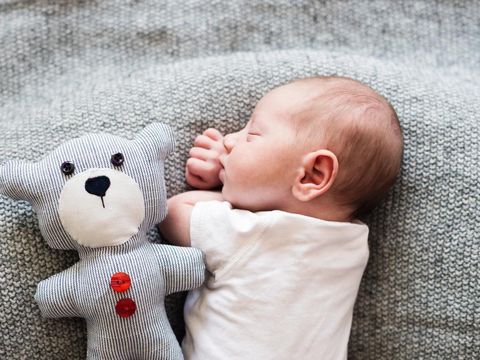 Aturan Zakat Fitrah Untuk Bayi Yang Lahir Di Malam Takbiran