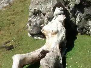 Mirip Wanita Telanjang, Batang Kayu Ini Curi Perhatian Turis Mirip Wanita Telanjang, Batang Kayu Ini Curi Perhatian Turis