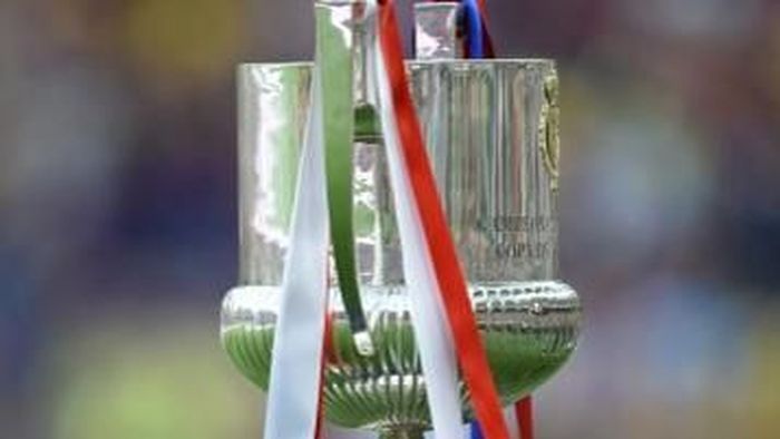 Copa del