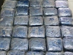Gagalkan Pengiriman 35 Kg Sabu Medan-Jakarta, BNN Temukan Rp 268 Juta