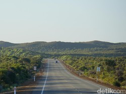 Tersesat, Wanita Ini 5 Hari Bertahan di Padang Rumput dengan Wine