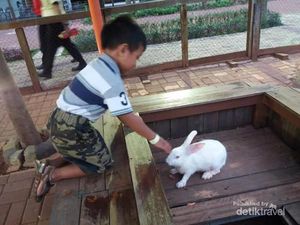 Di Serpong Ada Wisata City Farm, Tahu? Di Serpong Ada Wisata City Farm, Tahu?