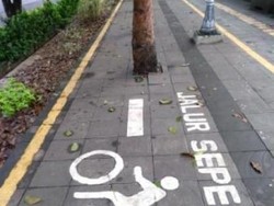 Golkar DKI soal Jalur Sepeda: Itu Untuk Kaum Menengah Atas