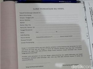 Ibu Hamil Mau Mudik Wajib Bikin Surat Pernyataan, Seperti Ini Contohnya