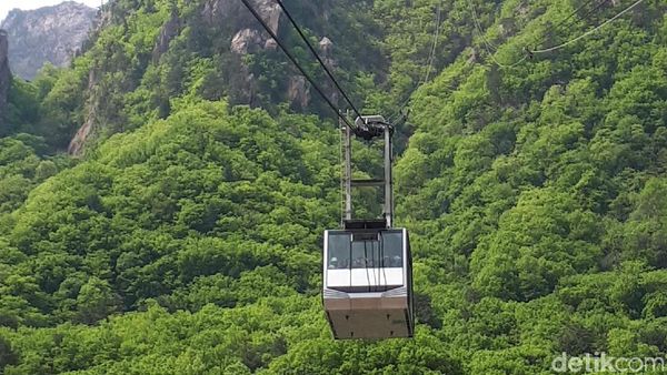 Foto: Kalau ke Korea Selatan, Naik ini Ya