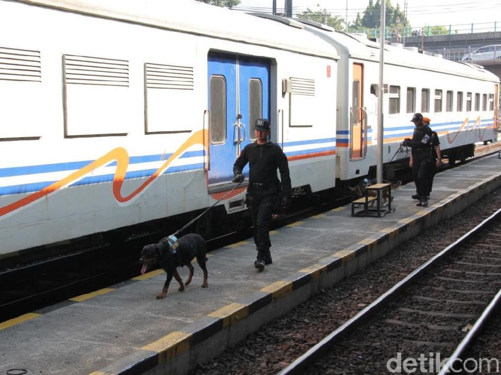 Antisipasi Keamanan, PT KAI Daop 8 Siagakan 100 Personel dan Anjing Pelacak Antisipasi Keamanan, PT KAI Daop 8 Siagakan 100 Personel dan Anjing Pelacak