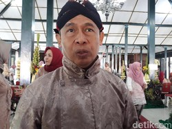 Mau Liburan Lebaran, Hati-hati Sengatan Ubur-ubur di Pantai