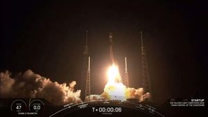 Potret Peluncuran 60 Satelit Internet Starlink Milik SpaceX