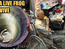 Terjebak 37 Jam di Sumur, Kakek Ini Minum Air Kotor dan Makan Kodok!