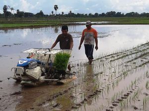 Hadapi Bonus Demografi, Kementan Genjot Modernisasi Pertanian