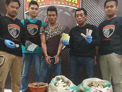 Dua Pembuat Petasan di Lumajang Diringkus, 309 Mercon Disita