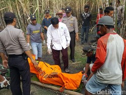 Berniat Bakar Daun Tebu Kering, Petani Ini Justru Tewas Terbakar