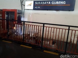 Jadwal KA Terlambat Dampak Banjir Jakarta, KAI Beri Layanan Service Recovery