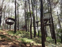 4 Hutan Pinus di Bantul yang Mirip Lokasi Film Tilik