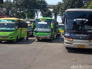 Nasib Tragis Pengusaha Angkutan: Bus Dikandangkan, Sopir Dirumahkan