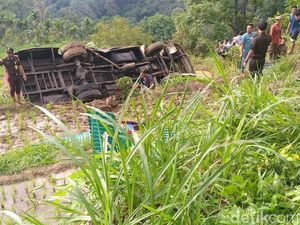 Bus Masuk Jurang di Kelok 44 Sumbar, Sejumlah Penumpang Terluka