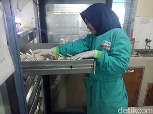 Gawat, PMI Lamongan Kekurangan Darah Hingga 400 Kantong/Bulan