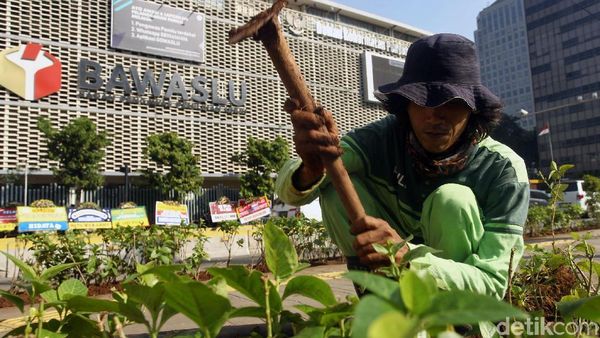 Aksi Petugas Hijaukan Bawaslu Pasca Aksi 22 Mei