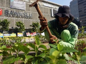 Aksi Petugas Hijaukan Bawaslu Pasca Aksi 22 Mei