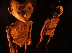 Karya-karya Perupa Iwan Effendi Bakal Membius Publik Singapura