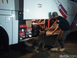 BNN Aceh Terjunkan Anjing Pelacak Periksa Barang Bawaan Penumpang Bus