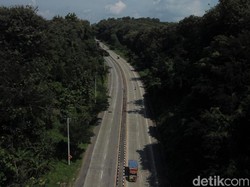 Jalan Alas Roban, Jalur Angker di Batang yang Ternyata Kaya Beragam Buah