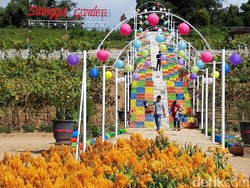 Mudik Ke Boyolali, Coba Main ke Taman Cantik Ini